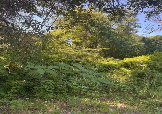 Photo 2 of Land for sale at 0 Ponderosa Dr, Eustace, TX 75124 | MLS# 21319873 | Listing updated on 2026-07-20