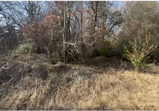 4th image of Lot #35 Meadowbrook St, Lake Dallas, TX 75065 | MLS# 21320054