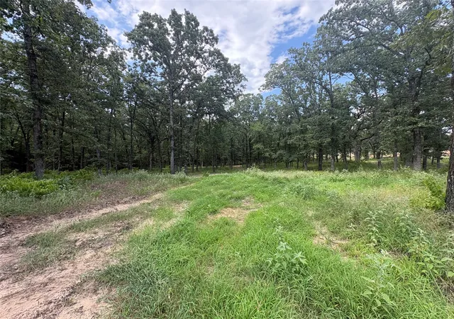 Homes for sale in Yantis, TX | Tbd Private 5948 Rd #23, Yantis, TX 75765 | MLS# 21313881
