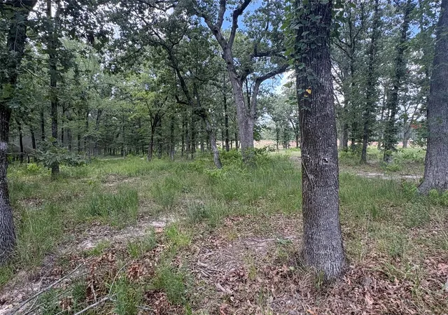 Homes for sale in Yantis, TX | Tbd Private 5948 Rd #23, Yantis, TX 75765 | MLS# 21313881