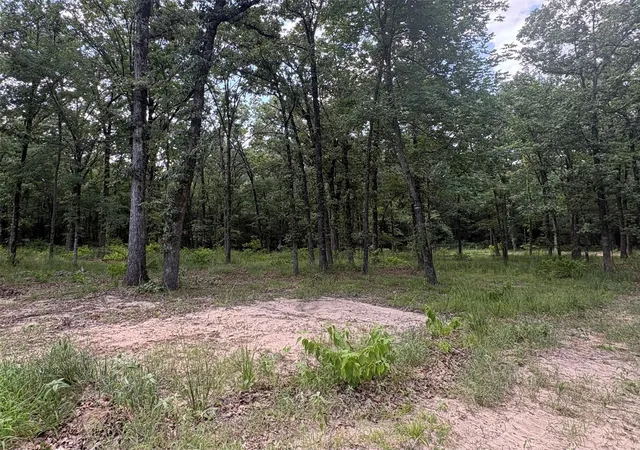 Homes for sale in Yantis, TX | Tbd Private 5948 Rd #23, Yantis, TX 75765 | MLS# 21313881