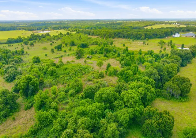 Photo 3 of Land for sale at Tbd Hcr 1439 #13 Acres, Covington, TX 76636 | MLS# 21303376 | Listing updated on 2026-07-08