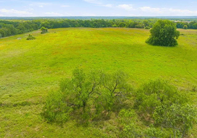 Photo 4 of Land for sale at Tbd Hcr 1439 #13 Acres, Covington, TX 76636 | MLS# 21303376 | Listing updated on 2026-07-08