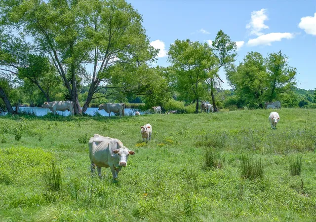 Photo 2 of House for sale at 3300 Vz County Road 1903, Edgewood, TX 75117 | MLS# 21303315 | Listing updated on 2026-08-22