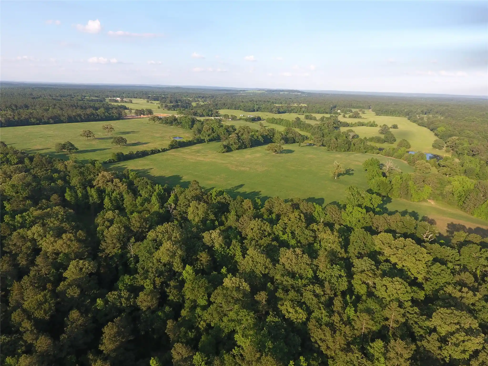 Photo 1 of Land for sale at 11400 E Fm 321, Palestine, TX 75803 | MLS# 21310756 | Listing updated on 2026-10-09