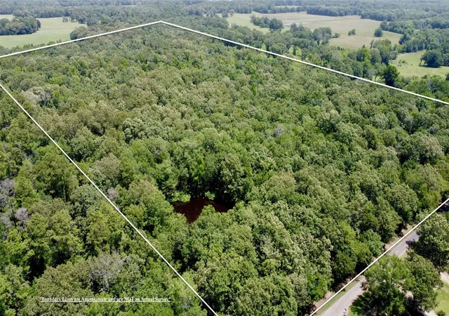 Homes for sale in Powderly, TX | Tbd Cr 44400 3, Powderly, TX 75473 | MLS# 21320726