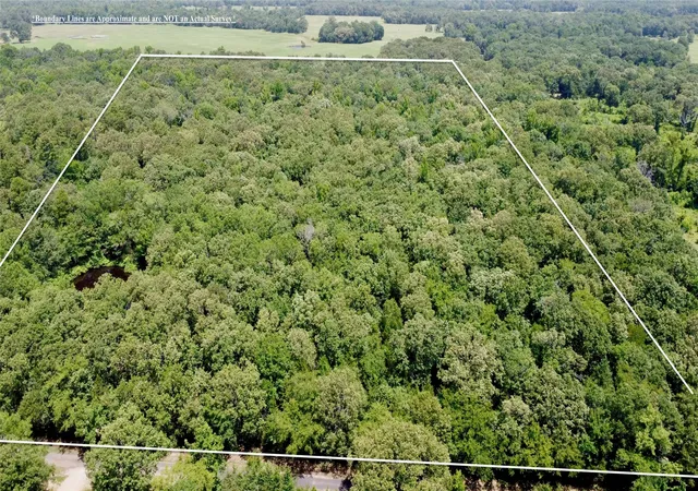 Homes for sale in Powderly, TX | Tbd Cr 44400-3, Powderly, TX 75473 | MLS# 21320726