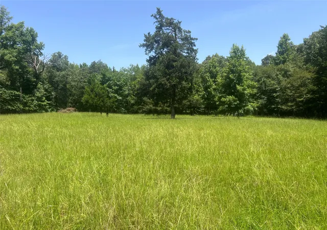 Photo 4 of Land for sale at Tbd Cr 44400-4, Powderly, TX 75473 | MLS# 21320755 | Listing updated on 2026-07-27