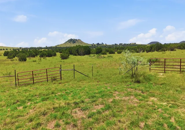 Homes for sale in Iredell, TX | Lot 10 Tbd Fm 216, Iredell, TX 76649 | MLS# 21314989