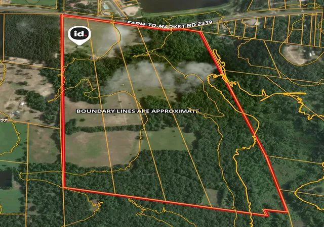 Photo 3 of Land for sale at 5767 Fm 2339, Murchison, TX 75778 | MLS# 21321219 | Listing updated on 2026-07-04