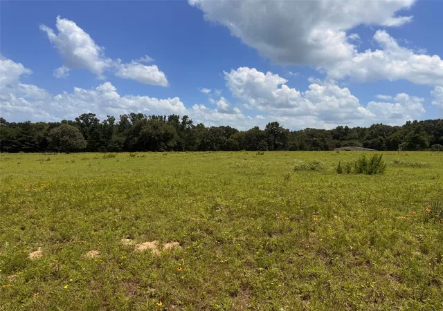 Photo 3 of House for sale at 5767 Fm 2339, Murchison, TX 75778 | MLS# 21321219 | Listing updated on 2026-07-04