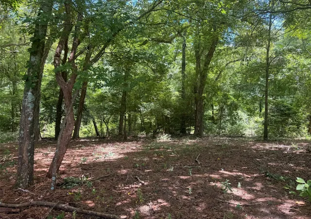 Photo 4 of House for sale at 5767 Fm 2339, Murchison, TX 75778 | MLS# 21321219 | Listing updated on 2026-07-04