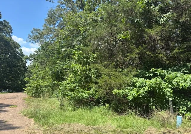 Homes for sale in Mount Vernon, TX | Tbd Croton Ln, Mount Vernon, TX 75457 | MLS# 21317457