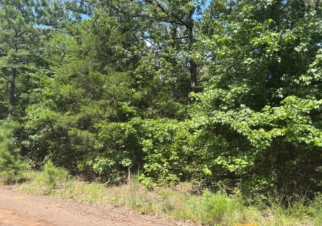 Photo 2 of Land for sale at Tbd Croton Ln, Mount Vernon, TX 75457 | MLS# 21317457 | Listing updated on 2026-07-04
