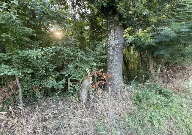 Photo 4 of Sale Pending at Tbd S Kings Hwy, Texarkana, TX 75501 | MLS# 21321962 | Listing updated on 2026-07-23