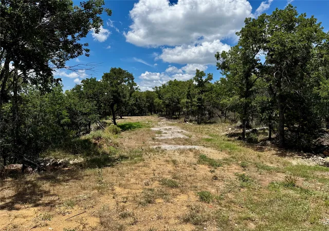 Homes for sale in Gordon, TX | Tbd Chism Trail, Gordon, TX 76453 | MLS# 21321936