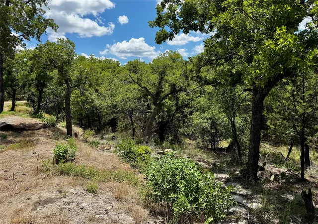 Homes for sale in Gordon, TX | Tbd Chism Trail, Gordon, TX 76453 | MLS# 21321936