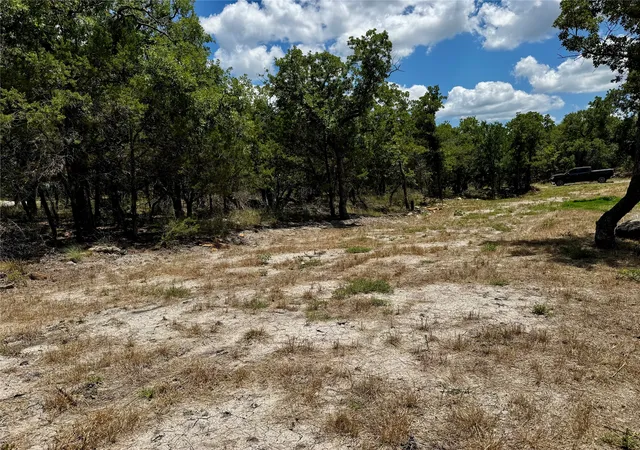 Homes for sale in Gordon, TX | Tbd Chism Trail, Gordon, TX 76453 | MLS# 21321936
