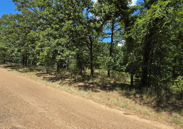 Homes for sale in Mabank, TX | 00 Hickory St, Mabank, TX 75156 | MLS# 21322041