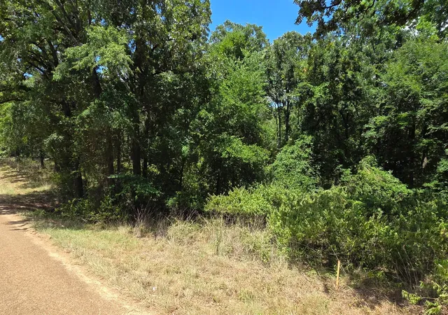 Homes for sale in Mabank, TX | 0 Hickory Lot 90 St, Mabank, TX 75156 | MLS# 21322044