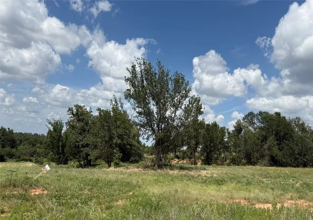 Homes for sale in Springtown, TX | 1173 Gonzollas Rd, Springtown, TX 76082 | MLS# 21322101