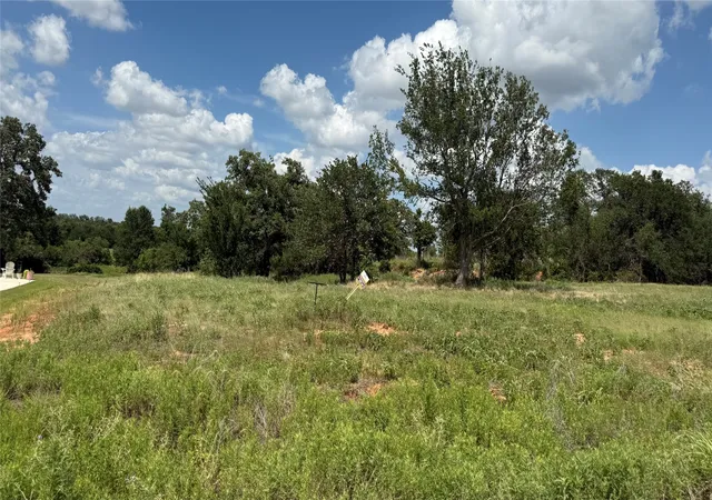 Homes for sale in Springtown, TX | 1173 Gonzollas Rd, Springtown, TX 76082 | MLS# 21322101
