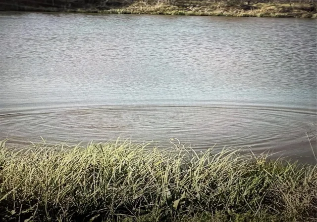 Photo 3 of Land for sale at 19774 Fm 47, Wills Point, TX 75169 | MLS# 21322117 | Listing updated on 2026-07-07