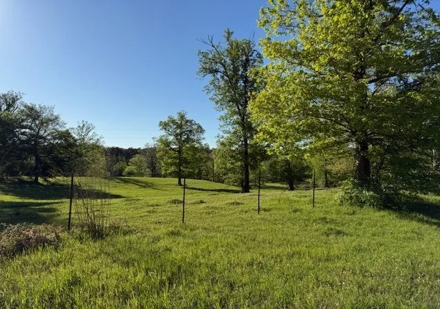 3rd image of 434 Walnut Creek Road, Simsboro, LA 71275 | MLS# 21322149