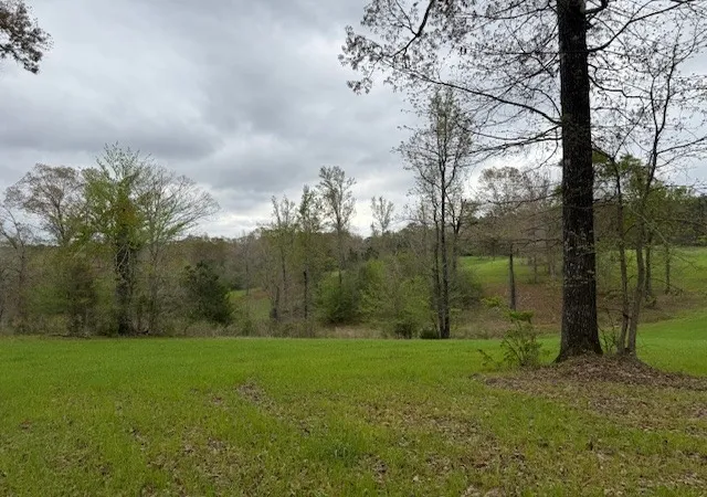 5th image of 434 Walnut Creek Road, Simsboro, LA 71275 | MLS# 21322149