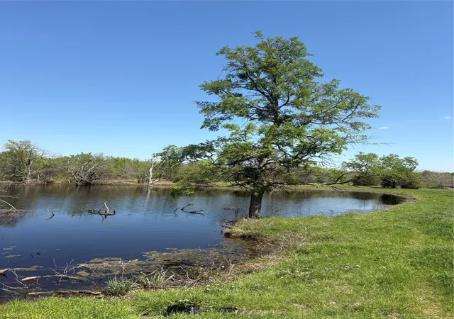 Photo 1 of Land for sale at Tbd 70ac Cr 4744, Sulphur Springs, TX 75482 | MLS# 21319662 | Listing updated on 2026-07-06