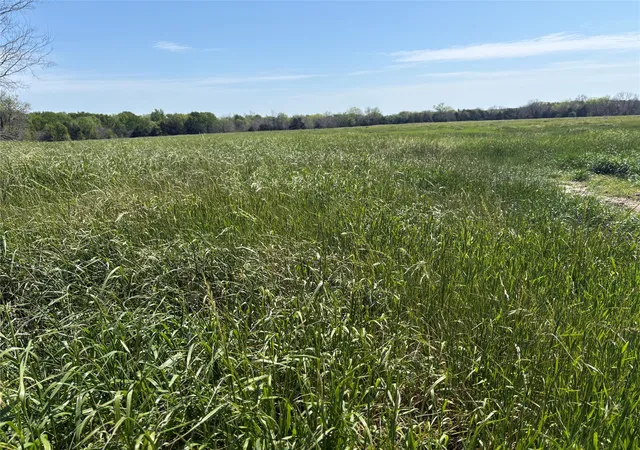 Photo 2 of Land for sale at Tbd 70ac Cr 4744, Sulphur Springs, TX 75482 | MLS# 21319662 | Listing updated on 2026-07-06