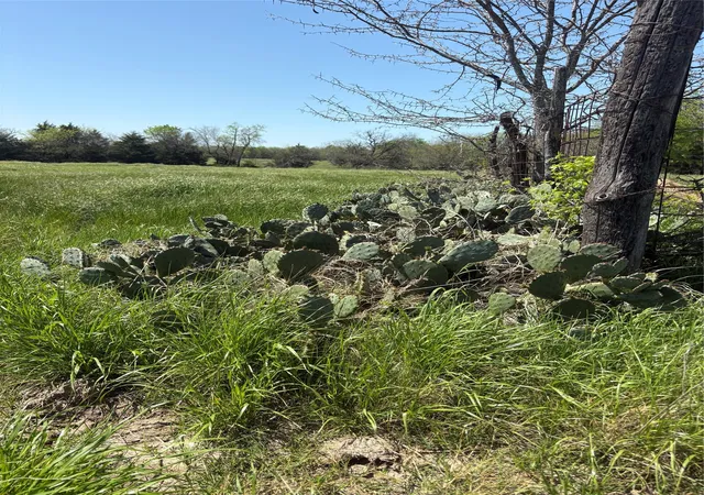 Photo 4 of Land for sale at Tbd 70Ac Cr 4744, Sulphur Springs, TX 75482 | MLS# 21319662 | Listing updated on 2026-09-29