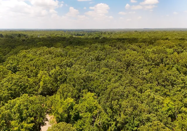Photo 2 of Land for sale at Tbd County Road 1695, Alba, TX 75410 | MLS# 21293248 | Listing updated on 2026-09-24