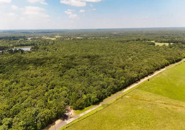 Photo 3 of Land for sale at Tbd County Road 1695, Alba, TX 75410 | MLS# 21293248 | Listing updated on 2026-09-24