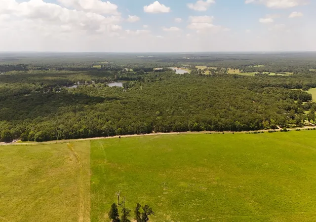 Photo 3 of Land for sale at Tbd County Road 1695, Alba, TX 75410 | MLS# 21293248 | Listing updated on 2026-09-24