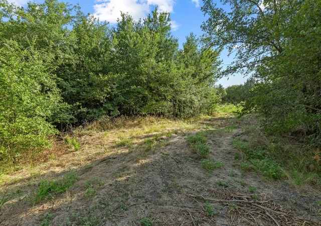 Photo 3 of Sale Pending at Tbd N Pecan St/us Hwy 69, Bells, TX 75414 | MLS# 21311228 | Listing updated on 2026-10-02