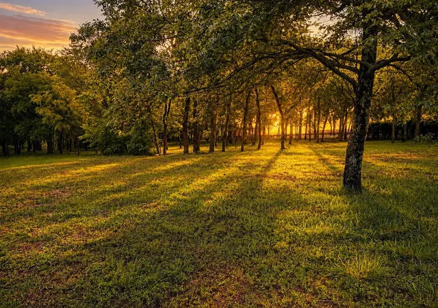 Photo 1 of Land for sale at 0000 Tee Taw Cir, Sherman, TX 75092 | MLS# 21308681 | Listing updated on 2026-07-07