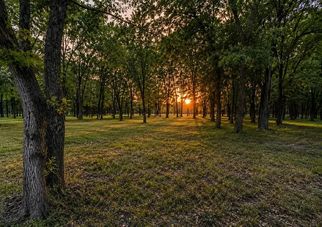 Photo 3 of Land for sale at 0000 Tee Taw Cir, Sherman, TX 75092 | MLS# 21308681 | Listing updated on 2026-07-07