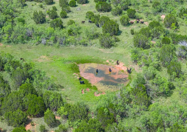 Photo 4 of House for sale at Tbd Trak 3 County Road 207, Ovalo, TX 79541 | MLS# 21318738 | Listing updated on 2026-07-07