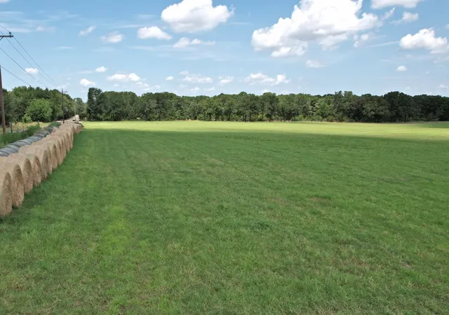 Photo 3 of Land for sale at Lot 4 Vz County Road 3208, Wills Point, TX 75169 | MLS# 21322897 | Listing updated on 2026-07-08