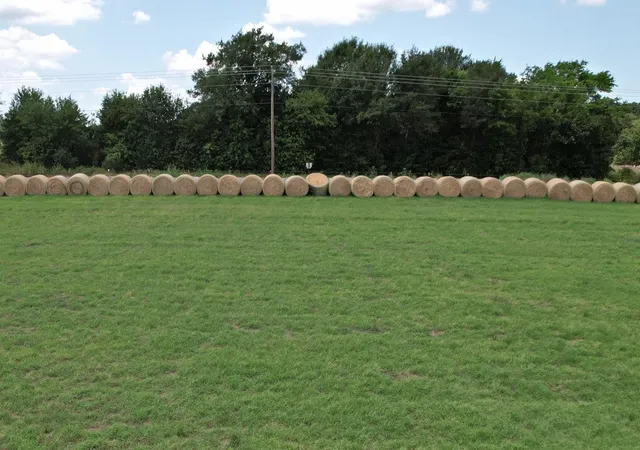 Photo 4 of Land for sale at Lot 4 Vz County Road 3208, Wills Point, TX 75169 | MLS# 21322897 | Listing updated on 2026-07-08