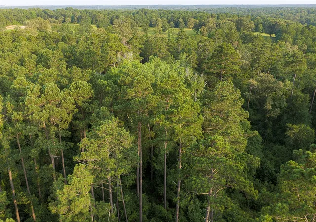 Photo 4 of Land for sale at 00 County Road 2136, Tatum, TX 75691 | MLS# 21322786 | Listing updated on 2026-07-10