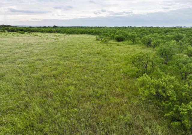 8th image of Tbd Lot 23 Cr 161, Tuscola, TX 79562 | MLS# 21323021