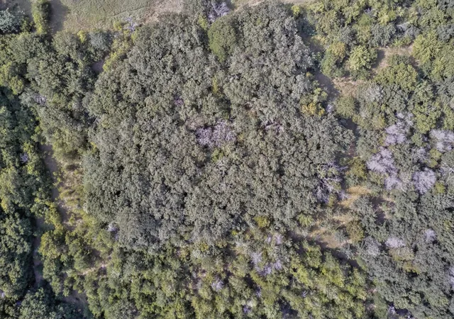 16th image of 0000 Dobbs Rd, Corinth, TX 76208 | MLS# 21309374