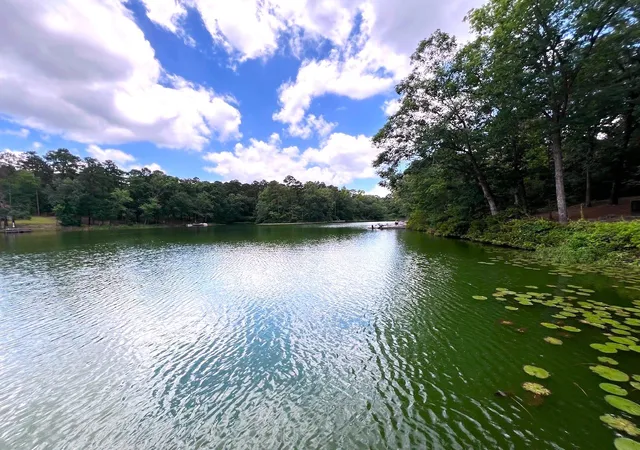 Photo 4 of Single family home for sale at 254 Cr 4595, Winnsboro, TX 75494 | MLS# 21322439 | Listing updated on 2026-10-01