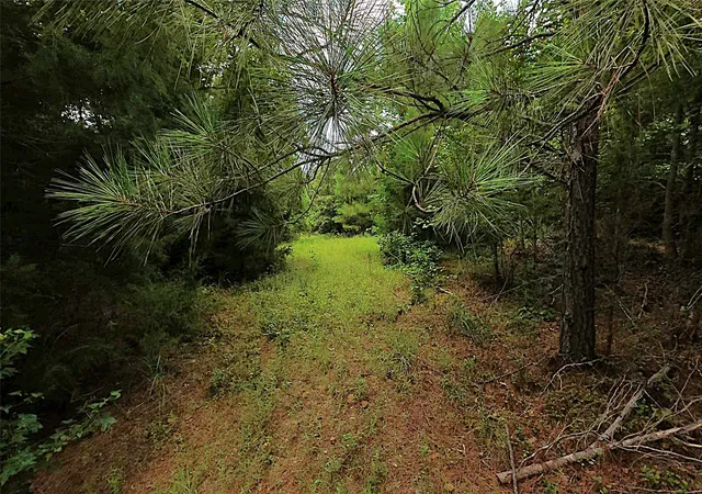 Photo 2 of Land for sale at Tbd Cr 1640, Jefferson, TX 75657 | MLS# 21323599 | Listing updated on 2026-07-20