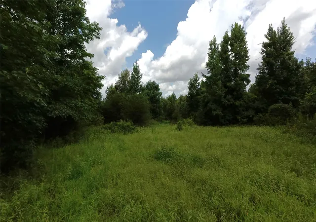 Photo 4 of Land for sale at Tbd Cr 1640, Jefferson, TX 75657 | MLS# 21323599 | Listing updated on 2026-07-20