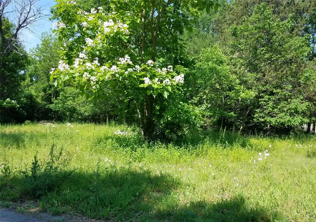 Photo 2 of Land for sale at 1609 Kennedy St, Bonham, TX 75418 | MLS# 21323889 | Listing updated on 2026-07-10