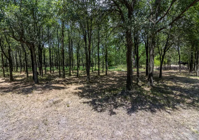 Photo 4 of Land for sale at 0 Cr-4076, Scurry, TX 75158 | MLS# 21322470 | Listing updated on 2026-10-07