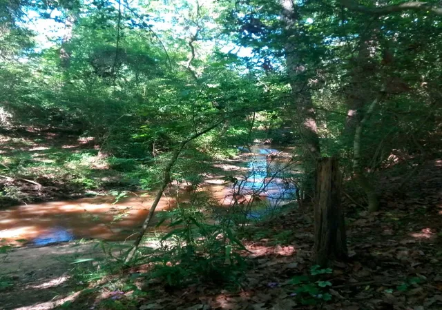 Photo 2 of Land for sale at 24282 Marshburn Dr, Hockley, TX 77447 | MLS# 21323513 | Listing updated on 2026-07-09